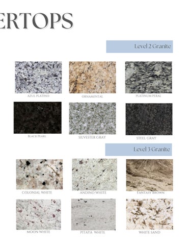 Lenoir Upgrade Options 第 17 页