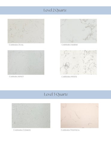 Lenoir Upgrade Options 第 18 页
