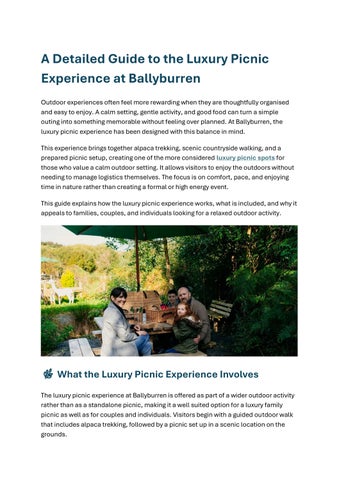 A Detailed Guide to the Luxury Picnic Experience at Ballyburren