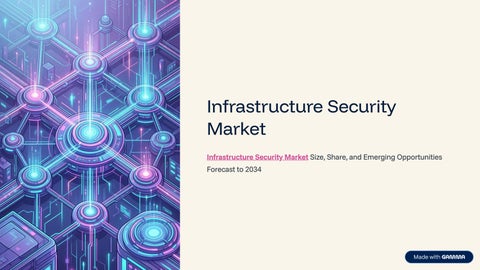 Infrastructure Security Market