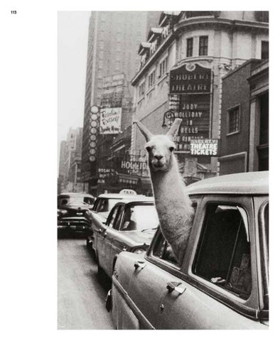 ACC Art Books 灯饰目录 · Inge Morath 第 7 页