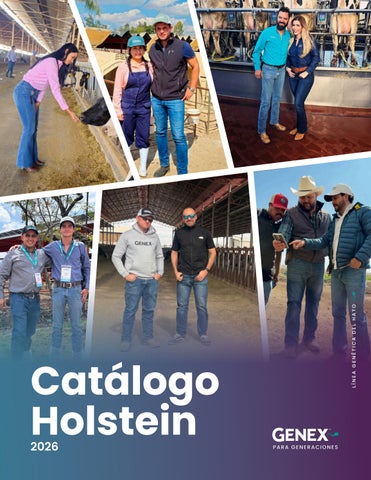 Catálogo Holstein 2026