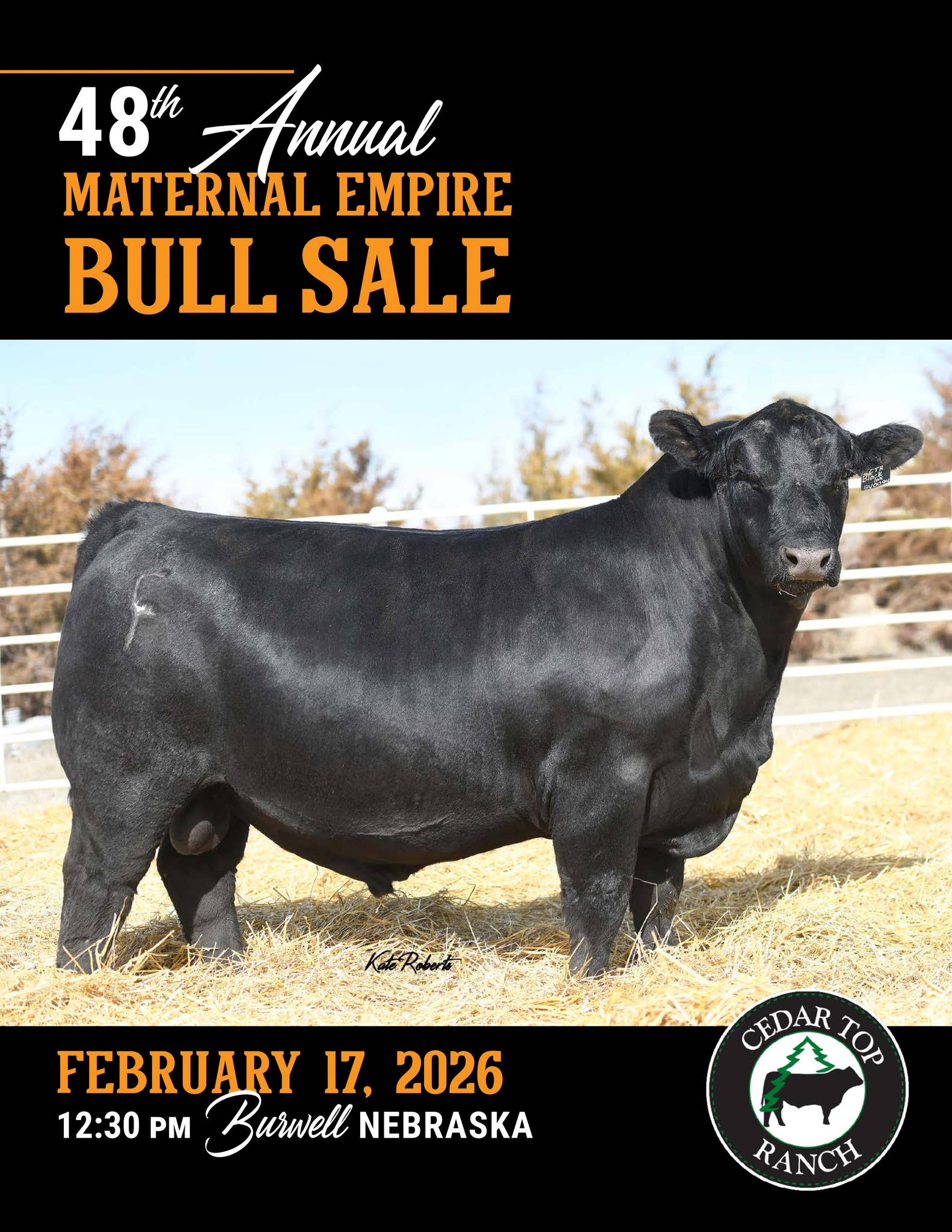 2026 Cedar Top Ranch by Julie Murnin - Issuu