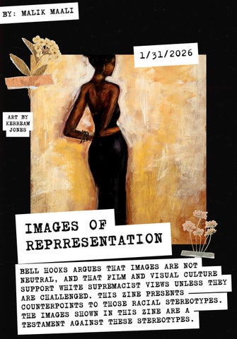 SOCI-X255 Representation Zine MMaali