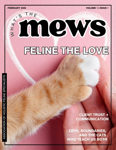 What's The Mews February Issue