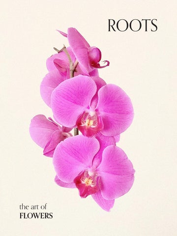 Roots Magazine Senior Project