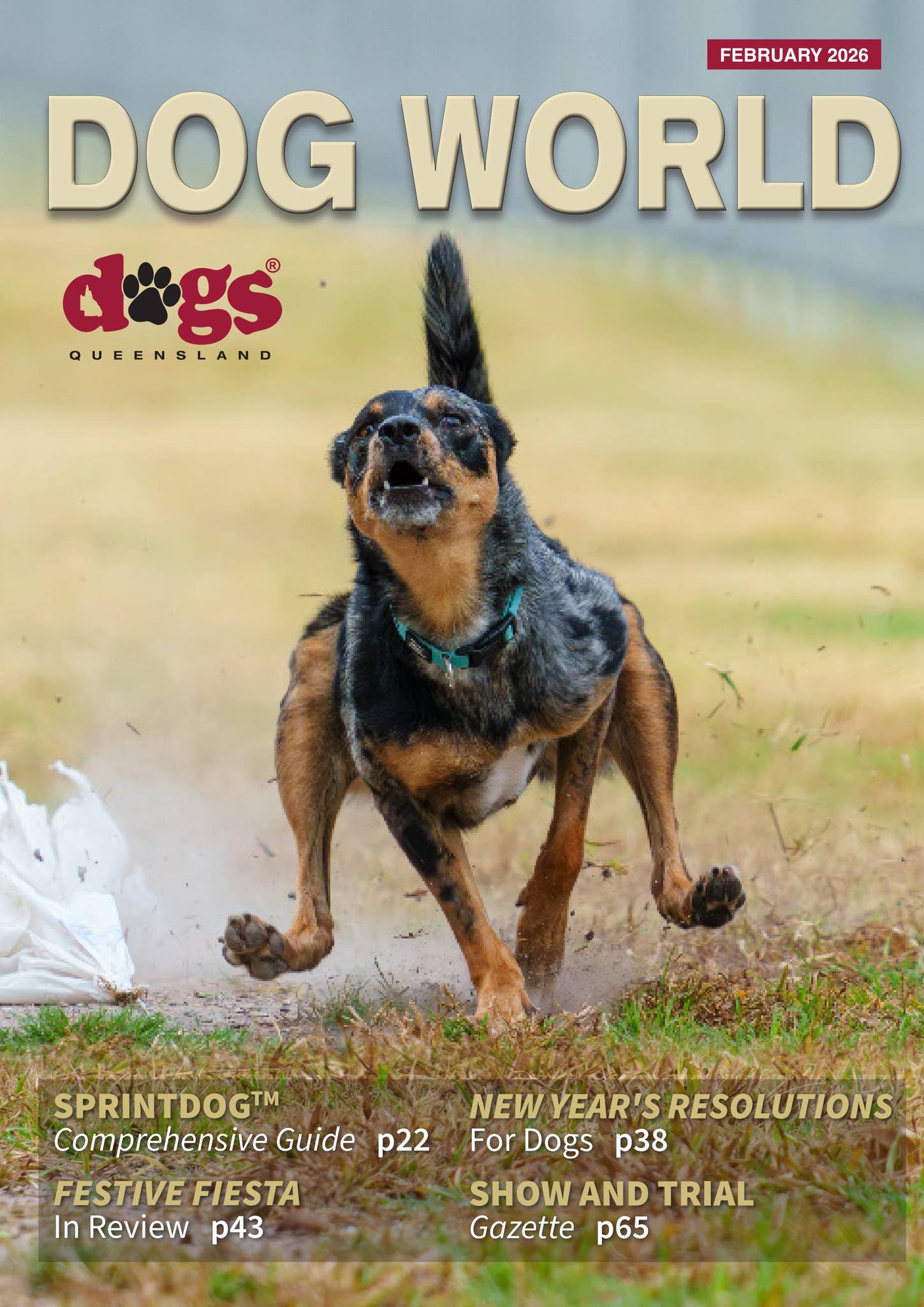February 2026 DOG WORLD MAGAZINE by Dogs Queensland - Issuu