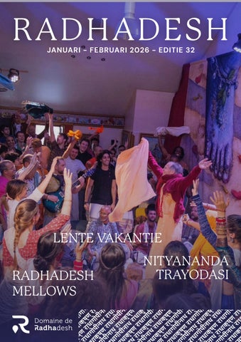 DUTCH Newsletter January - February 2026 - edition 32 (Dutch)