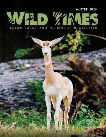 Wild Times - Winter 2025