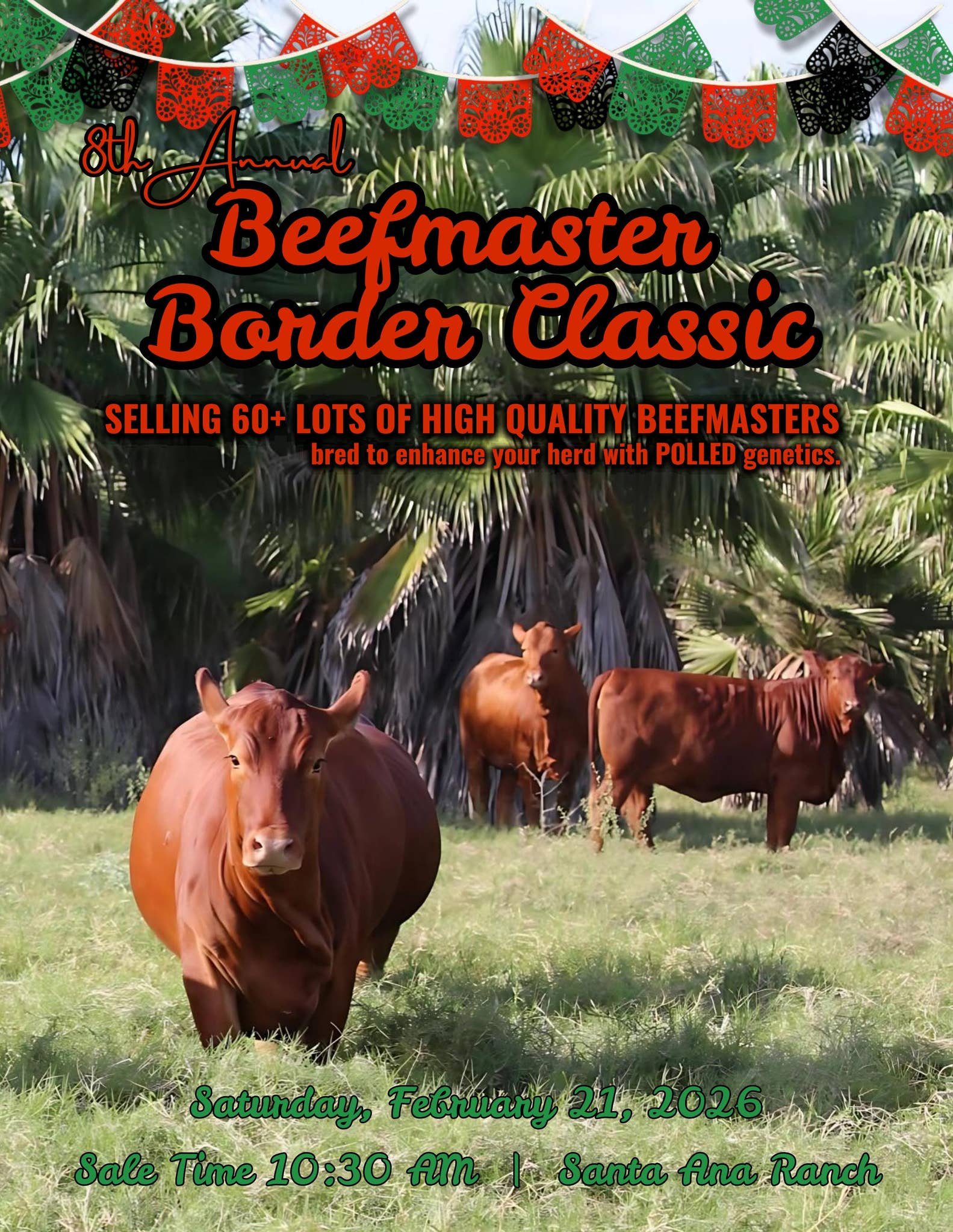 2026 Beefmaster Border Classic Sale Catalog by Ranch House Designs - Issuu