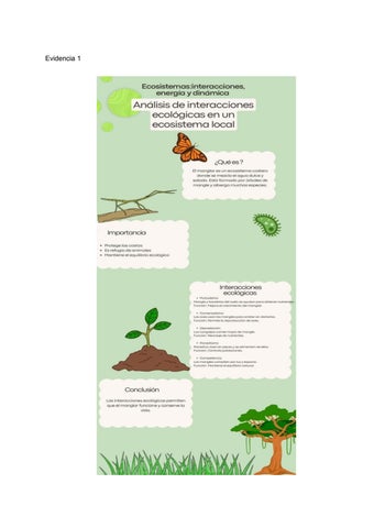 Nahim Antonio Ramos Ruiz 4F (1)