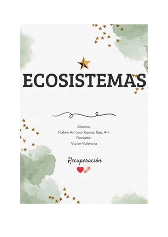 Nahim Antonio Ramos Ruiz 4F 