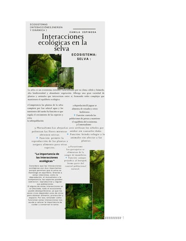 Evidencias Camila espinosa._converted