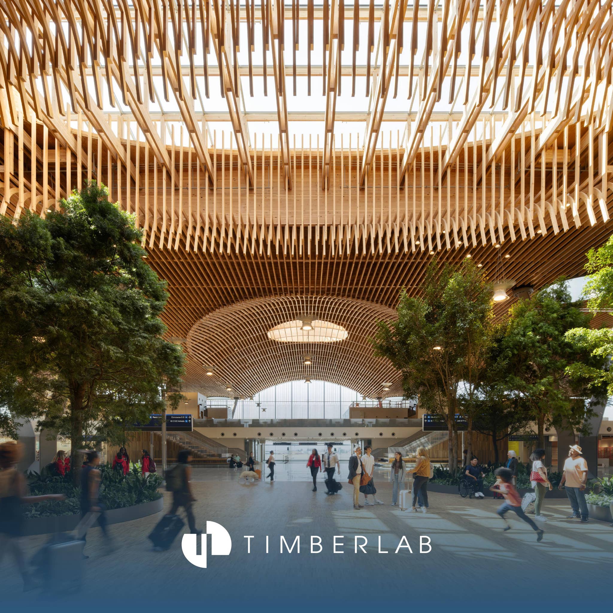 Timber Lab Sc Timberlab: Holistic Mass Timber Systems by Timberlab - Issuu