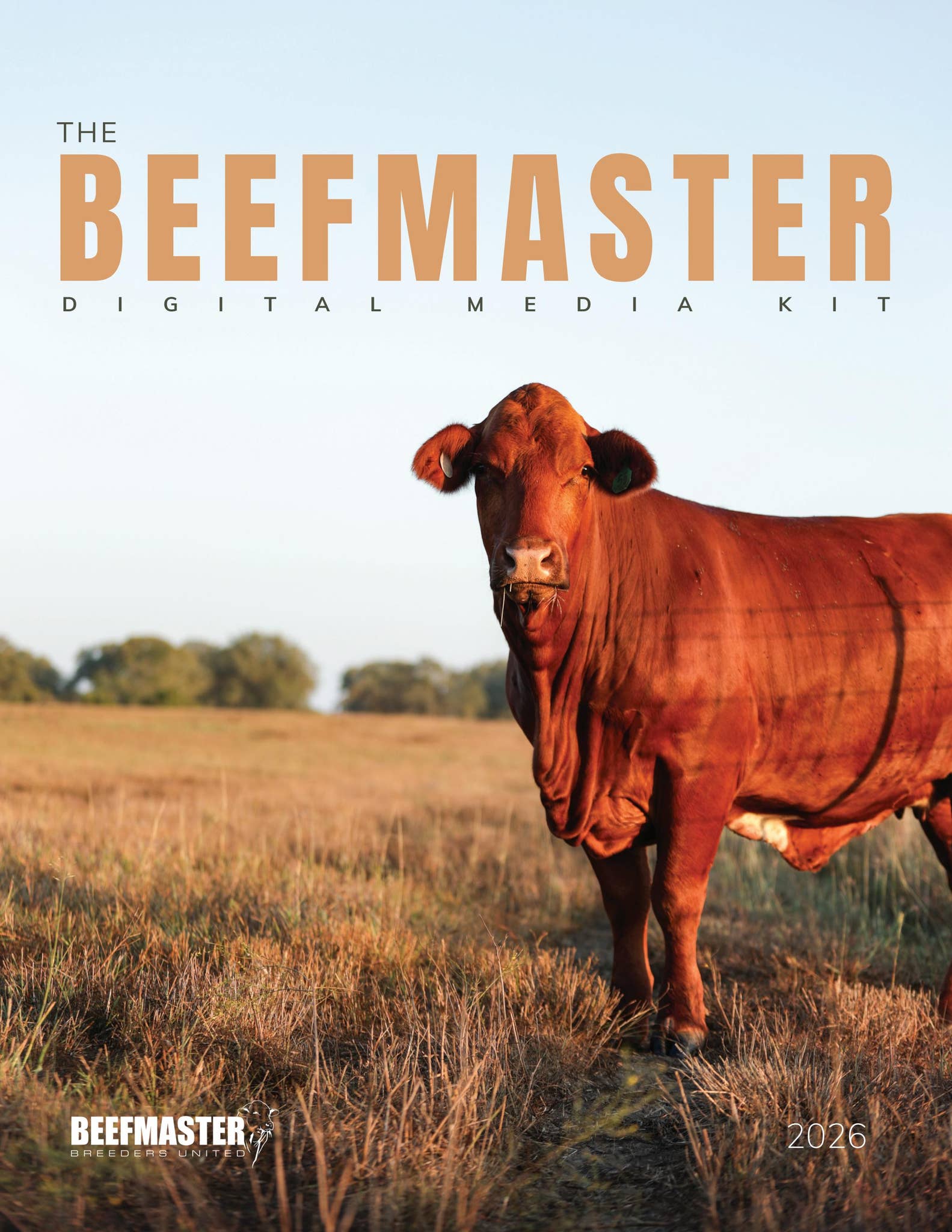 2026 Beefmaster Breeders United Media Kit by Ranch House Designs - Issuu