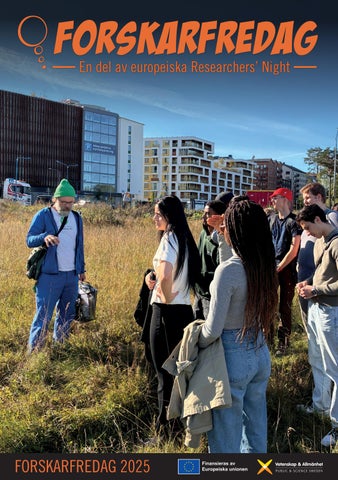 ForskarFredag_2025_rapport
