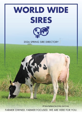 0126 WWS Ireland Catalog