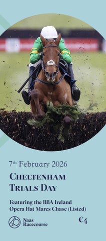 Naas Racecard 07.02.26 Online