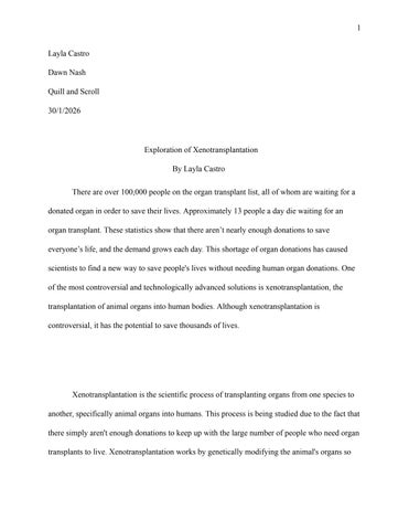 LaylaCFeatureWriting