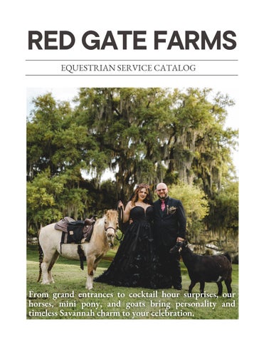 Equine Catalog 20260121