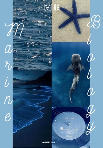 Marine Biology Zine
