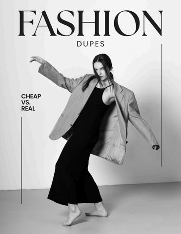 Fashion Dupes