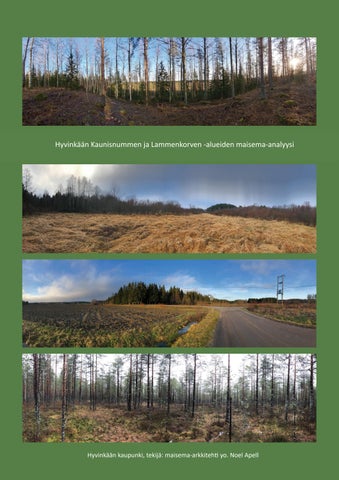 Kaunisnummen maisema-analyysi