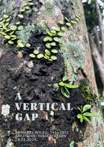 A Vertical Gap