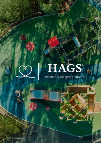 HAGS Play 第 2 页