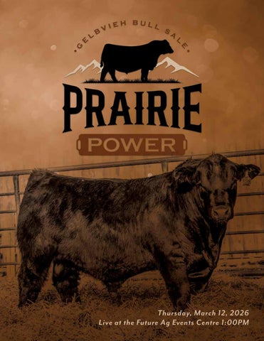 2026 Prairie Power Gelbvieh Bull Sale