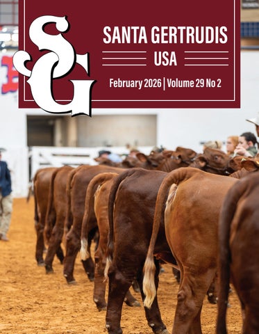 Newsletter February 2026