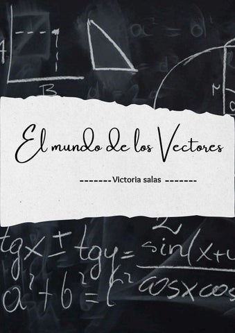 El mundo de los vectores 