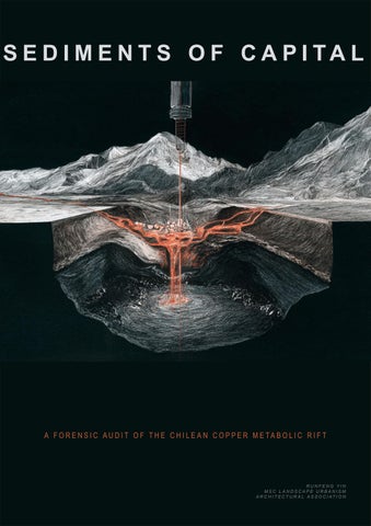 Runfeng Yin Portfolio1