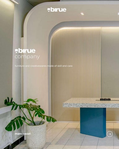 Birue Company Introduction