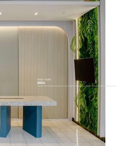 Birue Company Introduction 第 2 页