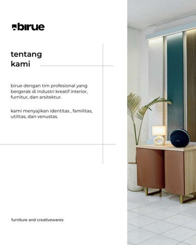 Birue Company Introduction 第 3 页
