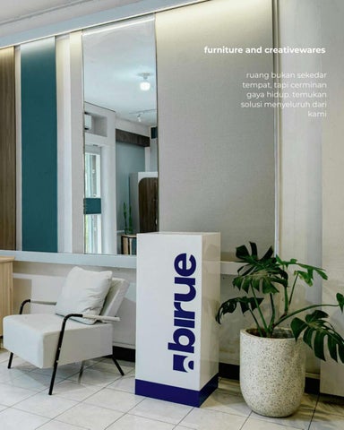 Birue Company Introduction 第 4 页