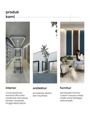Birue Company Introduction 第 5 页