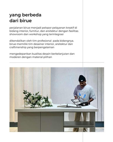 Birue Company Introduction 第 6 页