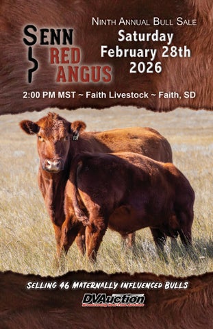 Senn Red Angus Catalog 2026