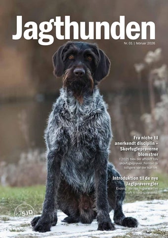 Jagthunden 01 feb26 WEB