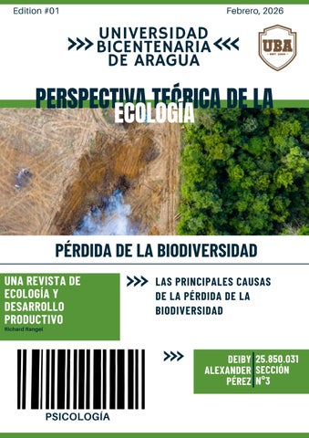 DEIBY ALEXANDER PEREZ 