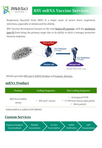 A02 RSV mRNA Vaccine Service_RNASci