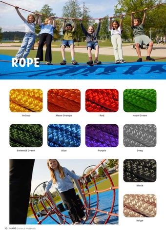 HAGS Color Policy 第 10 页