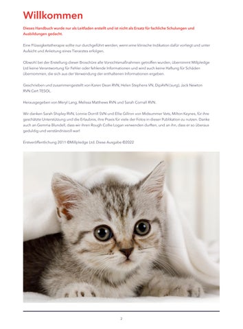 Handbuch zur Infusionstherapie 第 2 页