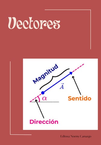 Revista de los vectores _20260211_164539_0000