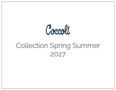 Presentaion SS27-AOP  2026-02-12 