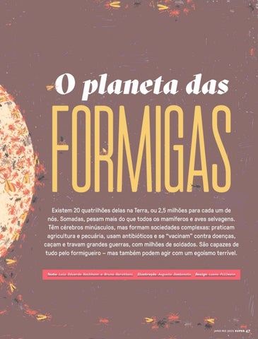 formigas