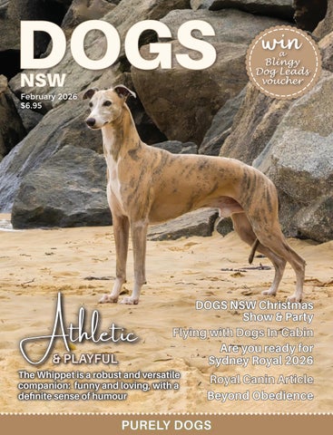 February 2026 magazine