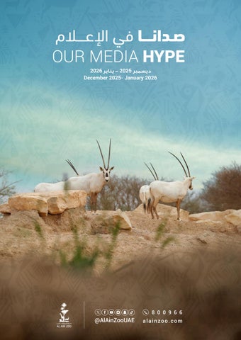 OurMediaHype-ديسمبر 2025- يناير 2026